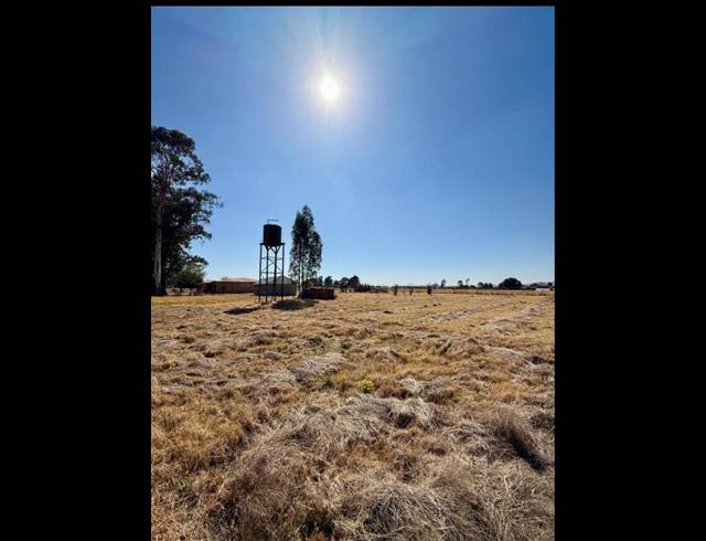 FARM FOR SALE IN HELDERSTROME